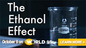 The Ethanol Effect