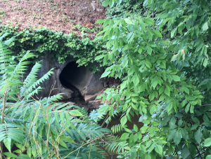 Combined sewers at Heider Creek in Avon Lake Credit: Elizabeth Miller