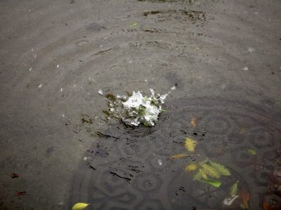 Prevent Stormwater Pollution Like a Pro, Easily