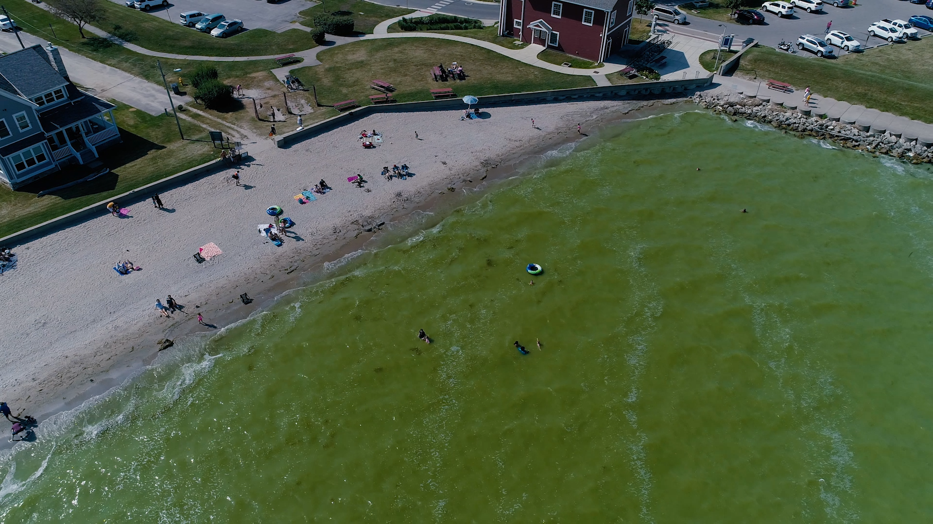 Toxic Algae 2020 Moderate Bloom Forecasted For Lake Erie Great