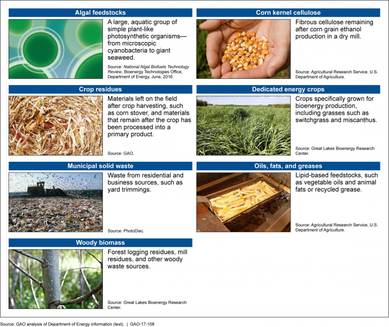 examples-of-advanced-biofuels-feedstocks-great-lakes-now