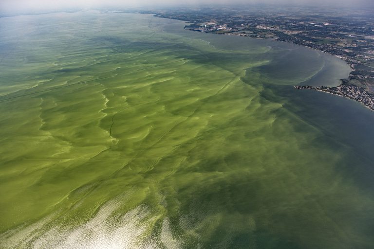 A Growing Epidemic Of Toxic Algal Blooms | Great Lakes Now