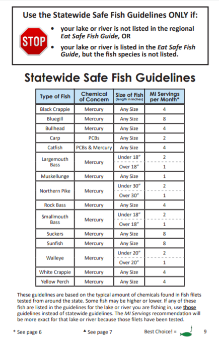 Statewide safe fish guidelines, Chart by michigan.gov