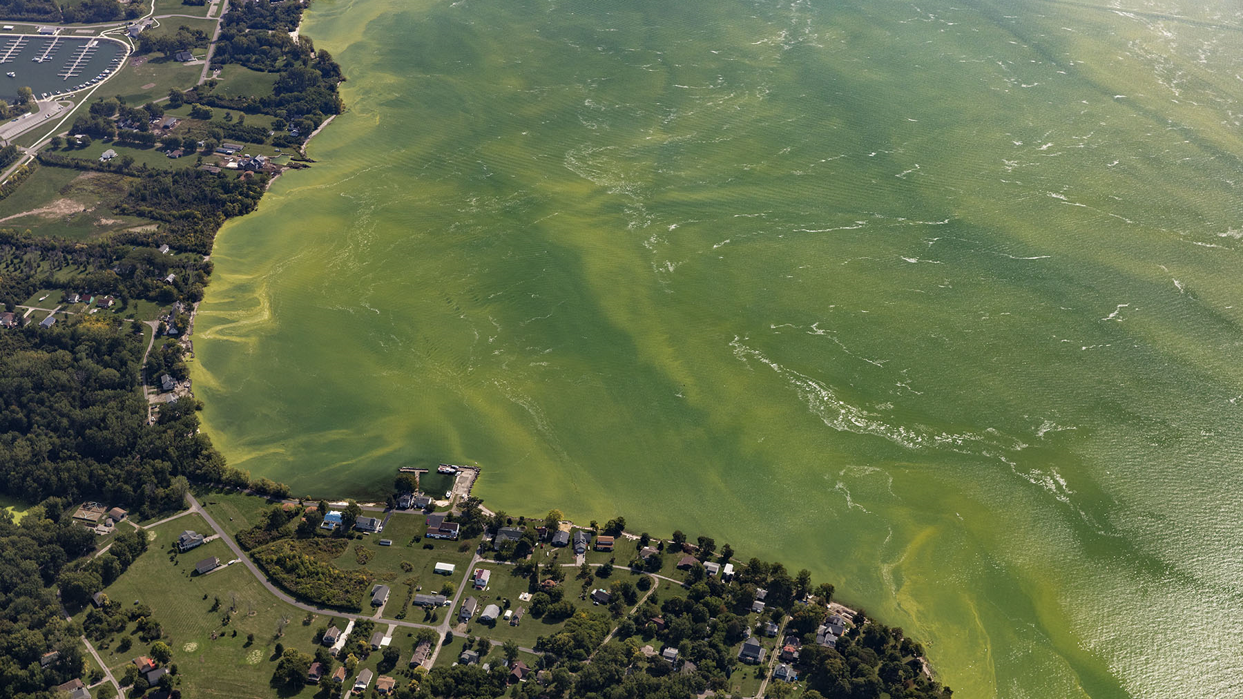 Lake Erie Algae 2019 Was Bad But Could Have Been Worse Great