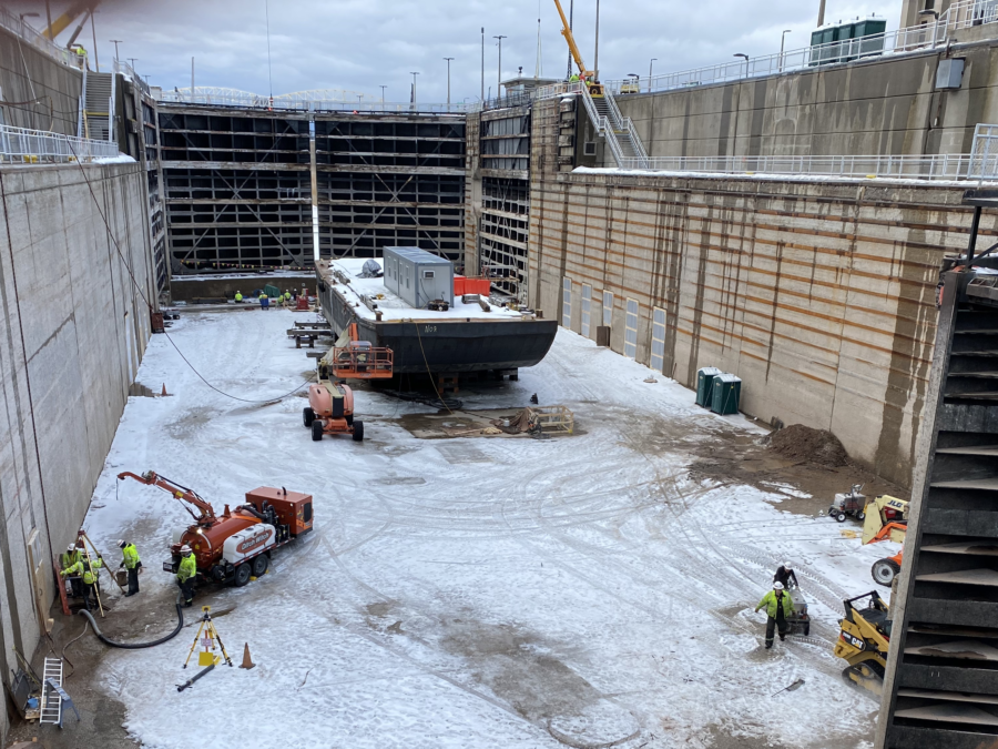 Zebra Mussels: A guide to the good and the bad of these Great Lakes