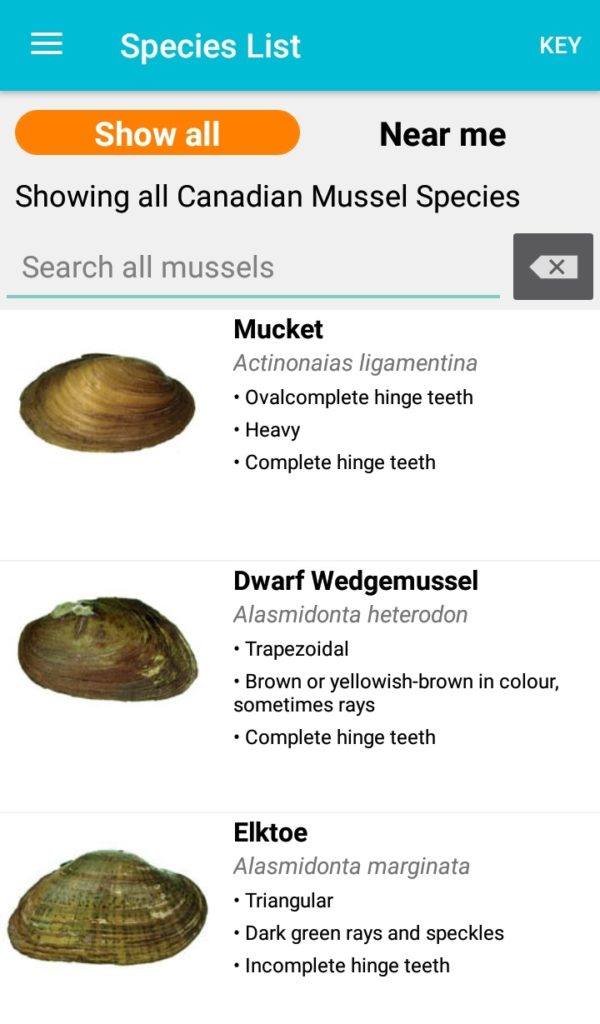 Native Guide Identify the local mussels that live around you with
