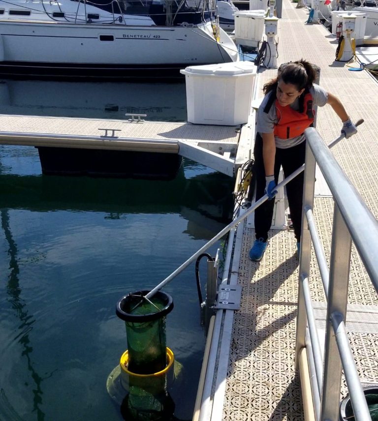Plastic Trap New project pulls plastics out of the lakes, one floating