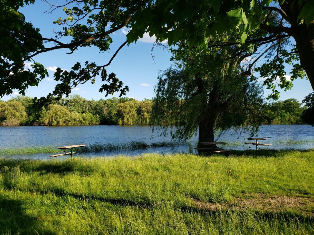 PBS Project: Great Lakes Now and the Belle Isle Conservancy are hosting ...