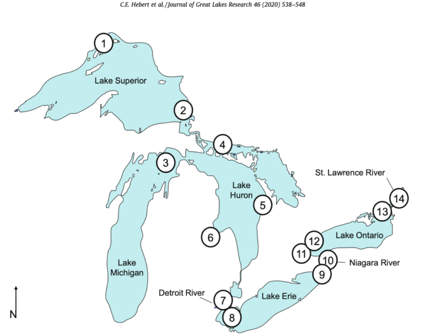 Challenges Facing Lake Erie and the Other Great Lakes | Great Lakes Now