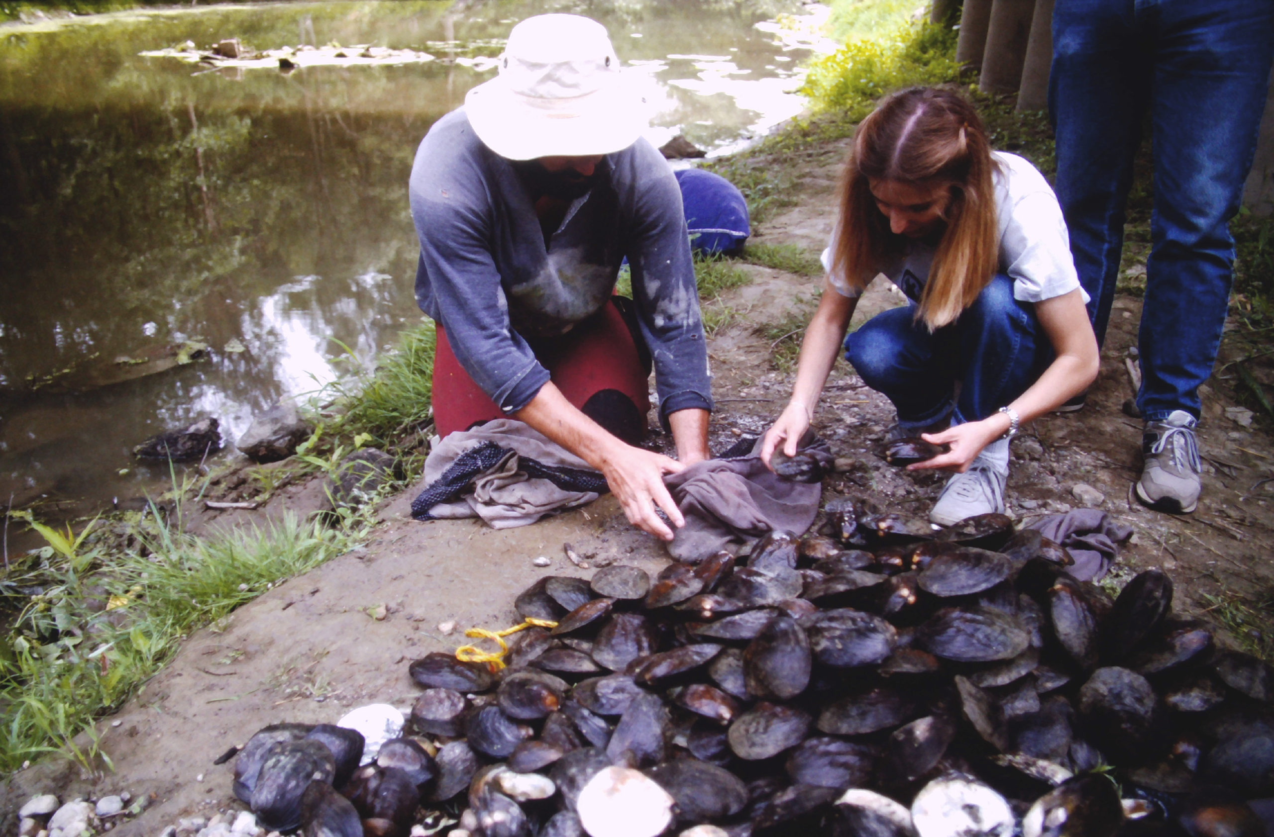 I Speak for the Fish: Mussel memory, the race to save an endangered species