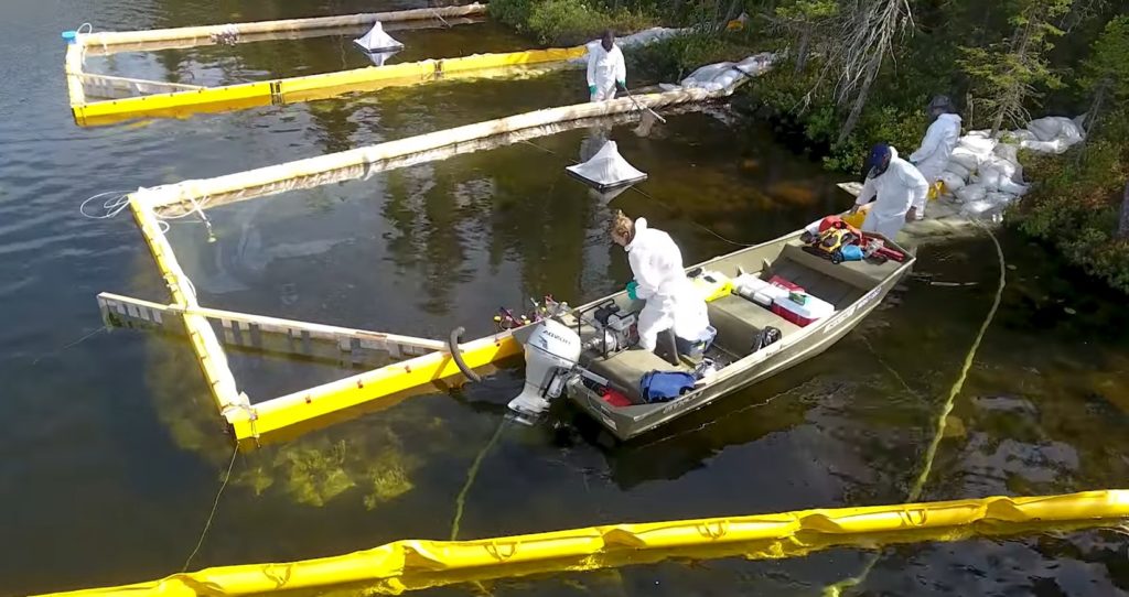 Bacteria Cleanup Should we let nature clean up oil spills? Great