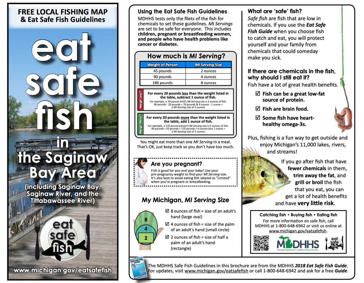 Only half of Great Lakes residents are aware of advisories for safely  eating fish