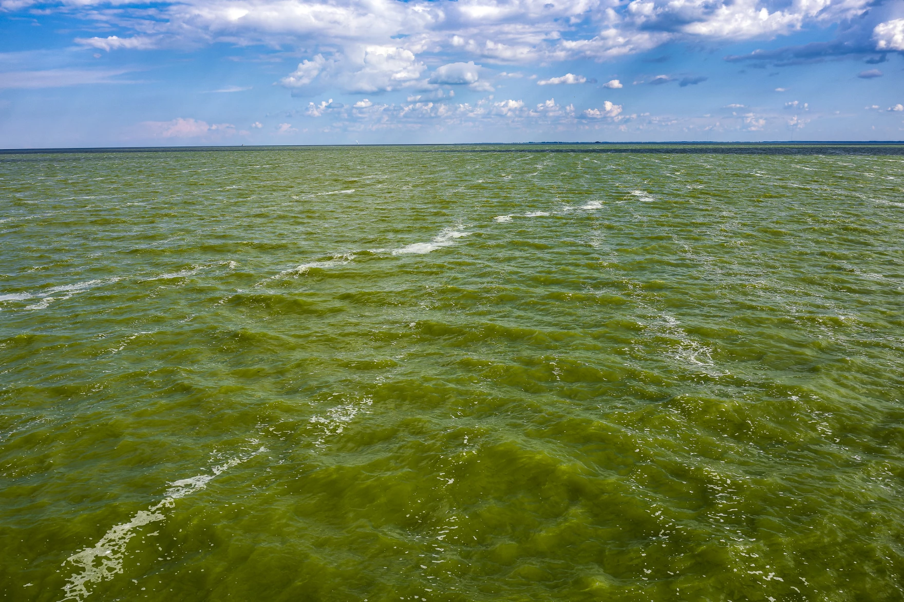 Report: MI and OH must spend hundreds of millions more annually to curb  toxic blooms in Lake Erie