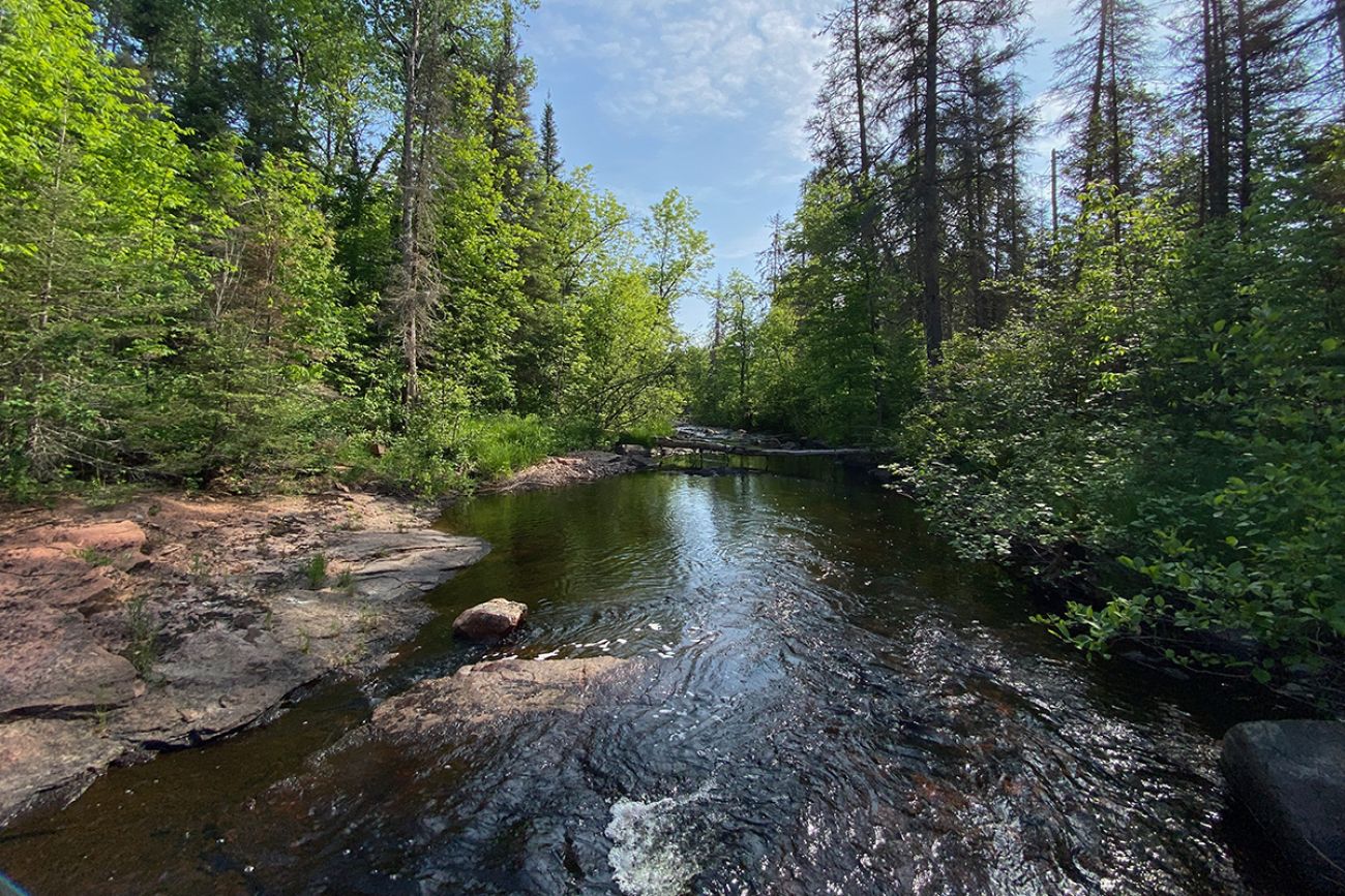 In warming Great Lakes, climate triage means some cold waters won't be  saved