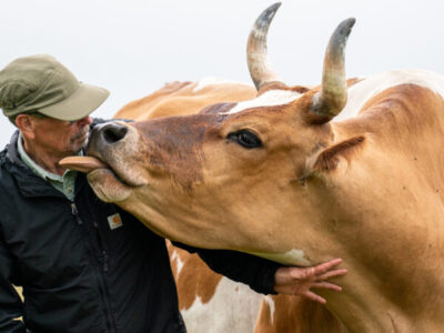 Empowering Environmental Stewardship: How Barn Sanctuary Champions Compassion and Conservation in the Great Lakes