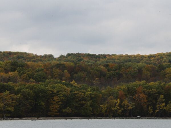 Ontario is subsidizing an energy project in Georgian Bay despite expert advice